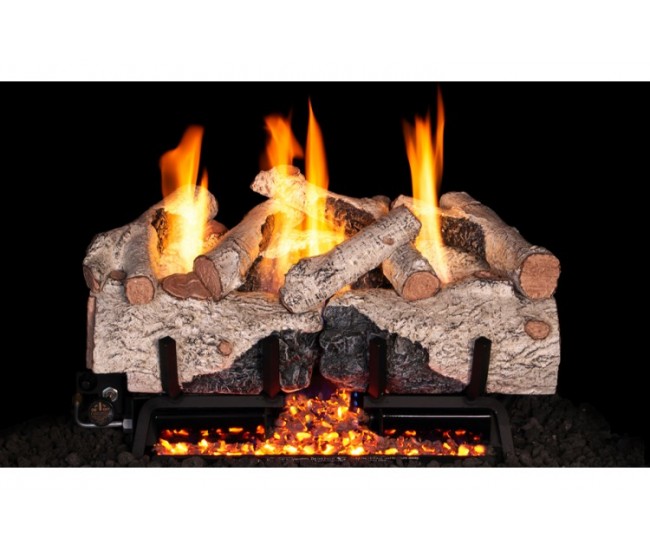 Real Fyre Charred Alpine Birch ANSI Gas Log Set