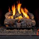 Real Fyre Bluetooth Control