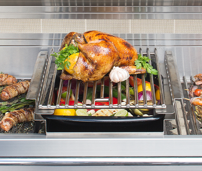 Alfresco Indirect Roasting Pod Insert
