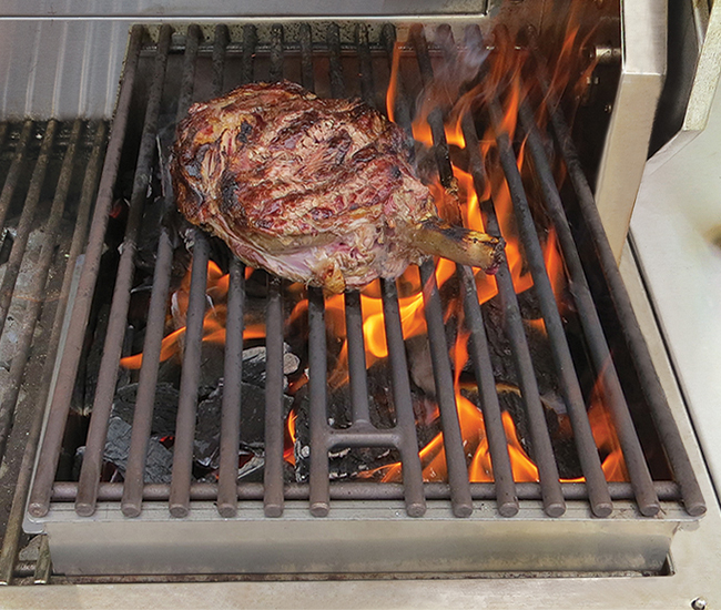 Alfresco Indirect Roasting Pod Insert