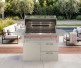 Alfresco 36-Inch AIPG Intelligent Portable Gas Grill | 3 Burner