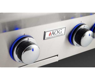 American Outdoor Grills by Fire Magic 24-inch L Series In-Ground Grill | 2-Burner