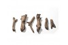 Chunky Driftwood Faux Wood Logset 2 - 6 Pieces [SPECIAL ORDER]  + $215.99 