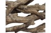 Driftwood Media  + $151.99 