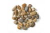 River Rocks Large  + $80.99 