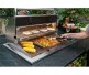 Fire Magic 30-inch Echelon Drop-In Grill with Hood | 3 Burners
