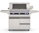 Fire Magic 36-inch Echelon Diamond Portable Gas Grill with Analog Thermometer | 3 Burners