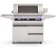 Fire Magic 36-inch Echelon Diamond Portable Gas Grill with Digital Thermometer | 3 Burners