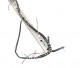 Fire Magic Wiring Harness with Raceway for Echelon Diamond E1060 Analog (2018 - Current)