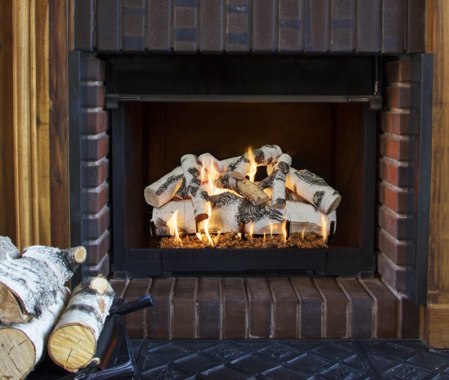 Grand Canyon Quaking Aspen Gas Logs