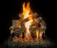 Grand Canyon Arizona Weathered Oak Charred Gas Log Set