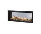 Majestic Echelon II See-Thru Top Direct Vent Fireplace