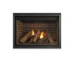 Majestic Meridian Direct Vent Fireplace