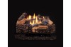 24-inch Mezmer Log Set  + $249.00 