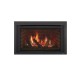Majestic Ruby Direct Vent Gas Insert