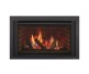 Majestic Ruby Direct Vent Gas Insert