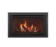 Majestic Ruby Direct Vent Gas Insert