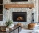 Majestic Ruby Platinum with Birch Logs Direct Vent Gas Insert