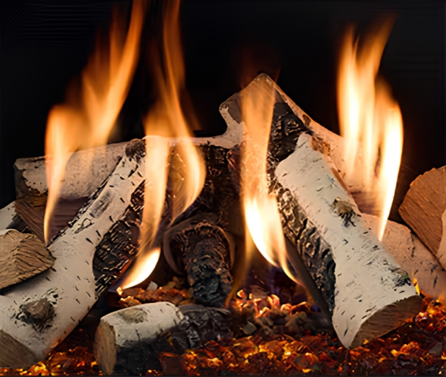 Majestic Ruby Platinum with Birch Logs Direct Vent Gas Insert