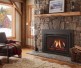 Majestic Ruby Platinum Direct Vent Gas Insert