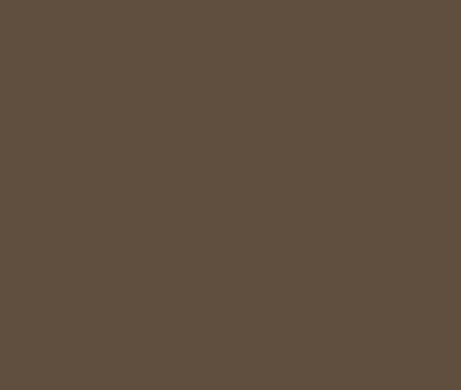Majestic 35-inch Contemporary Arch Screen Front in New Bronze for Ruby Insert