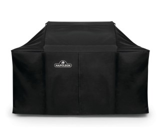 Napoleon LEX 605 and Charcoal Portable Grill Cover 