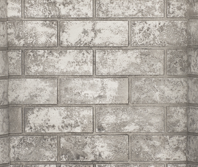 Napoleon Glacier Standard Brick Decorative Panel for Elevation X 36-inch Gas Fireplace