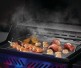 Napoleon Stainless Steel Griddle Insert for 425 Models