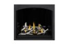 Black Whitney Design Decorative Front [SPECIAL ORDER]  + $887.00 