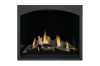 Black Whitney Design Decorative Front  + $920.00 