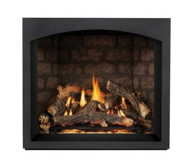 Napoleon Black Whitney Design Decorative Front for 36-inch Elevation X Gas Fireplace