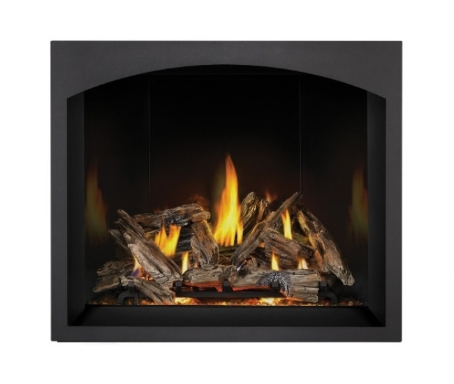 Napoleon Black Whitney Design Decorative Front for 42-inch Elevation X Gas Fireplace