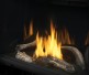 Napoleon Ascent 30-inch Electronic Ignition Direct Vent Natural Gas Fireplace
