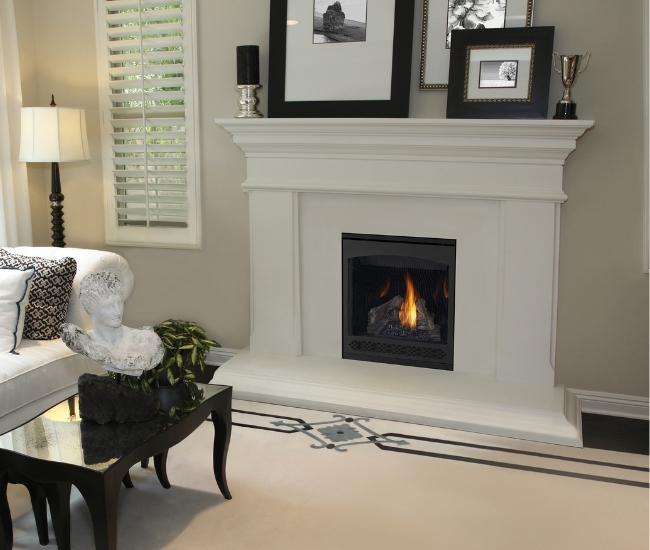 Napoleon Ascent 30-inch Electronic Ignition Direct Vent Natural Gas Fireplace