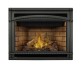 Napoleon Ascent 42-inch Millivolt Ignition Direct Vent Fireplace