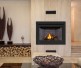 Napoleon Ascent 42-inch Millivolt Ignition Direct Vent Fireplace