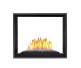 Napoleon High Definition See-Thru Direct Vent Natural Gas Fireplace