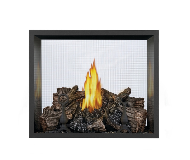 Napoleon High Definition See-Thru Direct Vent Natural Gas Fireplace
