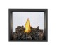 Napoleon High Definition See-Thru Direct Vent Natural Gas Fireplace