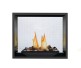 Napoleon High Definition See-Thru Direct Vent Natural Gas Fireplace