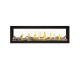 Napoleon Luxuria See-Thru 62-inch Direct Vent Natural Gas Fireplace