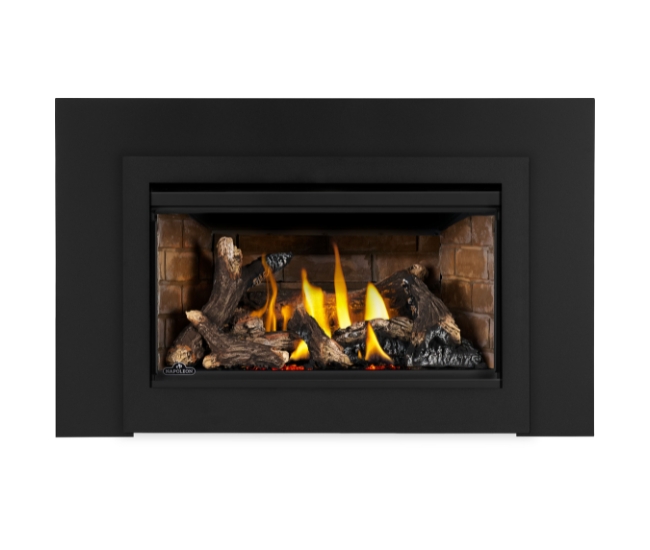 Napoleon Rosedale RD2 Direct Vent Natural Gas Insert
