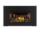 Napoleon Rosedale RD2 Direct Vent Natural Gas Insert