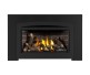 Napoleon Rosedale RD2 Direct Vent Natural Gas Insert