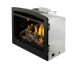 Napoleon Rosedale RD3 Direct Vent Natural Gas Insert