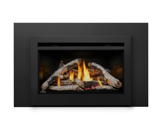 Napoleon Rosedale RD3 Direct Vent Natural Gas Insert