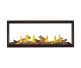 Napoleon Tall Linear Vector See-Thru 62-inch Direct Vent Natural Gas Fireplace