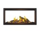 Napoleon Tall Linear Vector with Luminous Logs See-Thru 50-inch Direct Vent Natural Gas Fireplace
