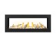 Napoleon Vector 50-inch See-Thru Direct Vent Natural Gas Fireplace