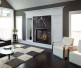 Napoleon Altitude X 36-inch Direct Vent Gas Fireplace